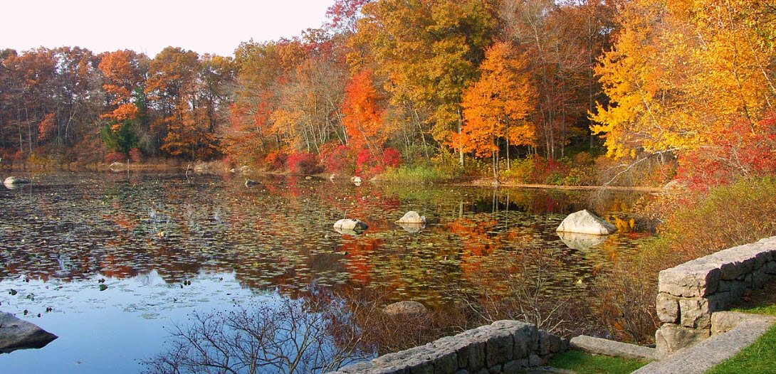 Connecticut College Arboretum, United States